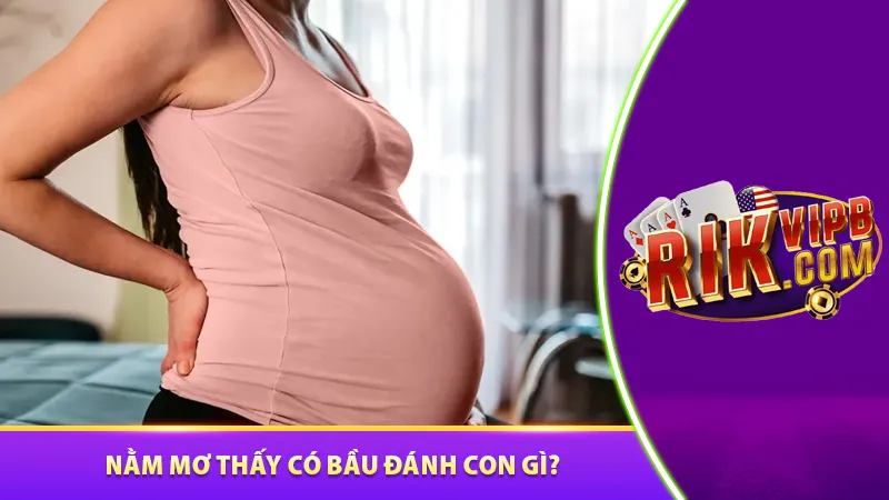 Nằm mơ thấy có bầu đánh con gì