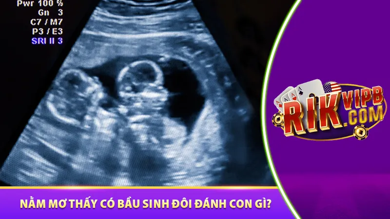 Nằm mơ thấy có bầu sinh đôi đánh con gì