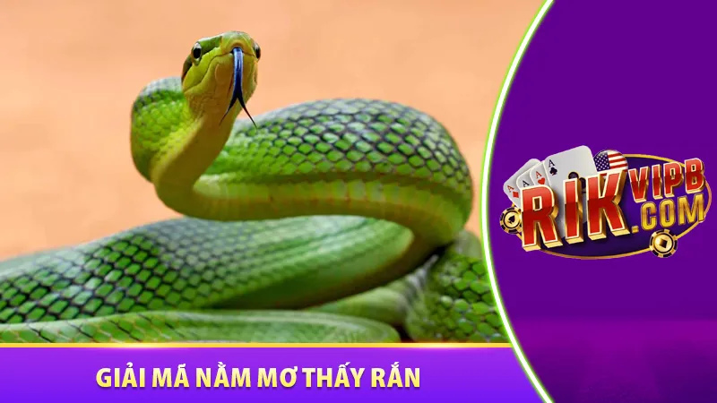 Nằm mơ thấy rắn