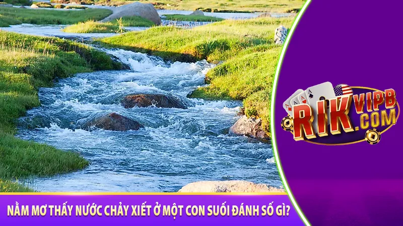 Nằm mơ thấy nước chảy xiết ở một con suối đánh gì