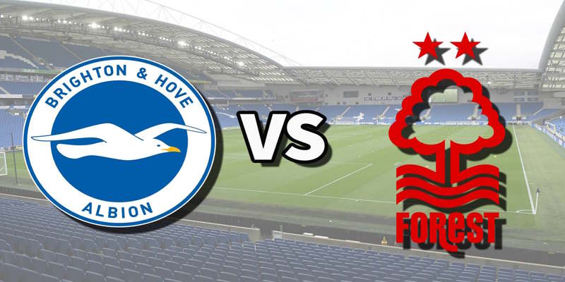 Soi Kèo Nottingham Forest vs Brighton: 21:05 - 30/11 - Premier League